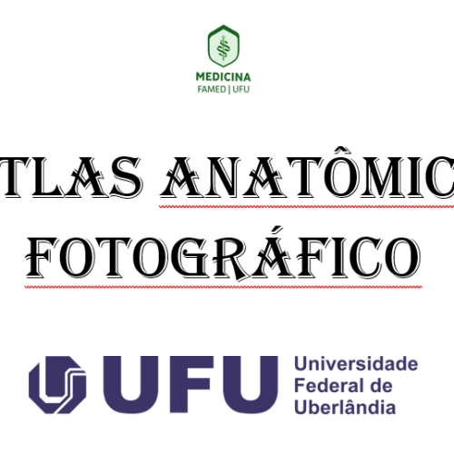 Atlas anatômico fotográfico 