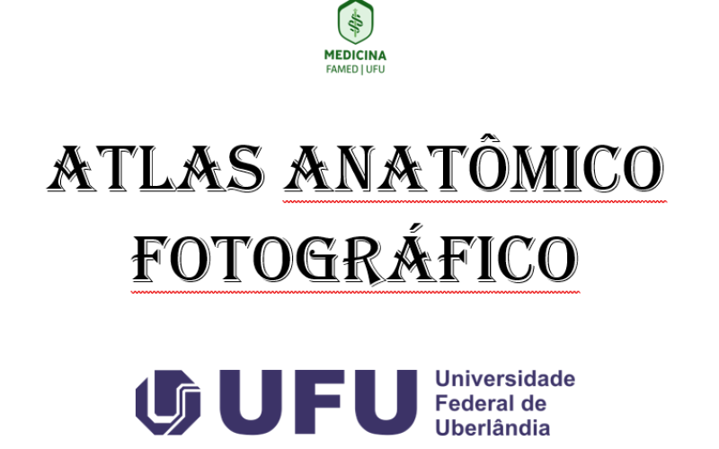 Atlas anatômico fotográfico 