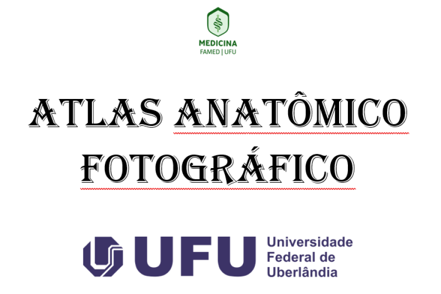 Atlas anatômico fotográfico 